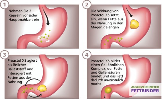 wie funktioniert proactol xs